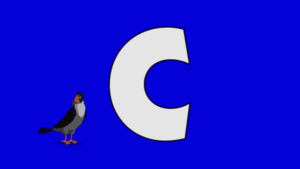 Letter C en Crow (voorgrond) — Stockvideo