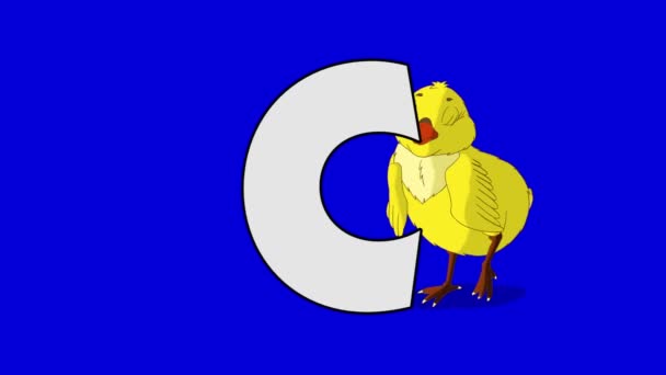 Буква C и курица (задний план) ) — стоковое видео