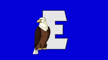 Harf E ve D kartal (ön plan)