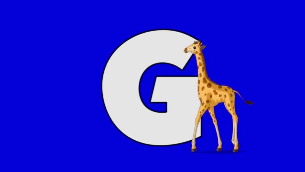 Buchstabe g und Giraffe (Vordergrund)) — Stockvideo