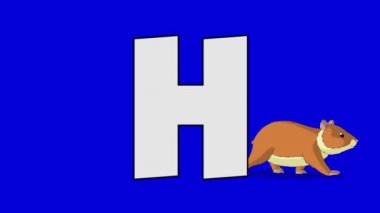 H harfi ve Hamster (arka plan)