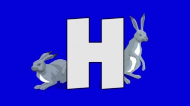 H harfi ve tavşan (arka plan)