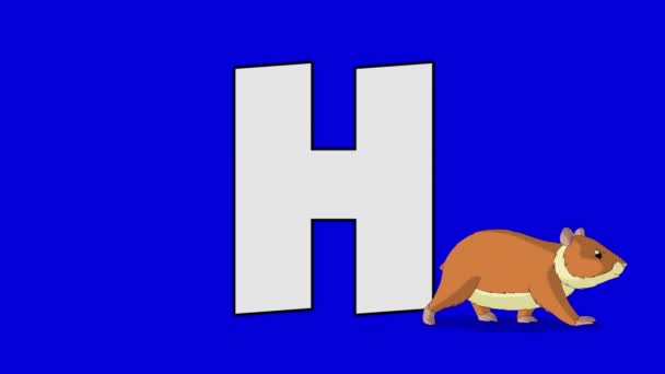 Carta H e hamster (primeiro plano ) — Vídeo de Stock