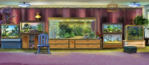 Wnętrza pokoju z terrarium — Zdjęcie stockowe