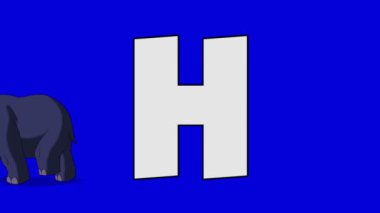 H harfi ve su aygırı (ön plan)