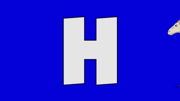 Lettera H e cavallo (primo piano ) — Video Stock