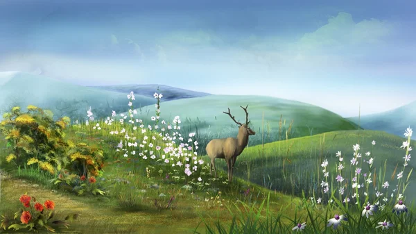 Deer in the Hills — Stock Photo, Image