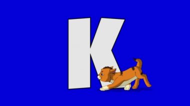 K harfi ve yavru kedi (ön plan)