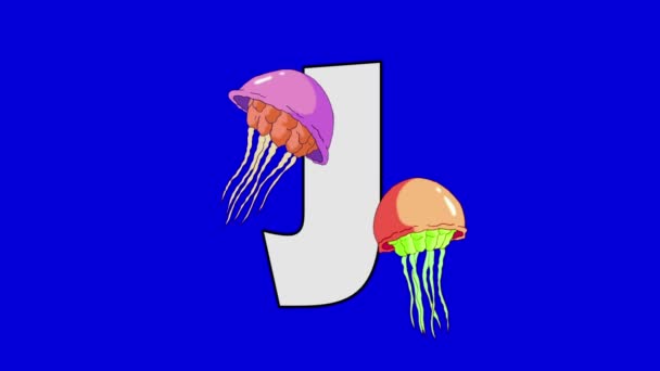 Letter J and  Jellyfish  (foreground) — Stock Video