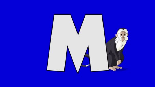 Letter M en Monkey (achtergrond) — Stockvideo