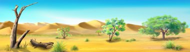 Afrika Savannah. İki görüntü