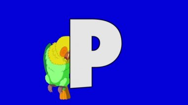 P harfi ve papağan (arka plan)