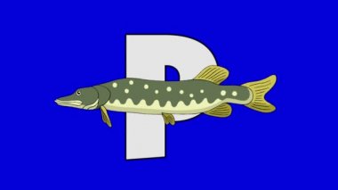 P harfi ve Pike (ön plan)