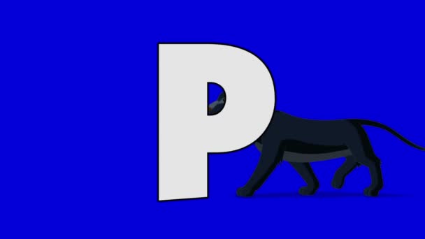 Buchstabe p und Panther (Hintergrund) — Stockvideo