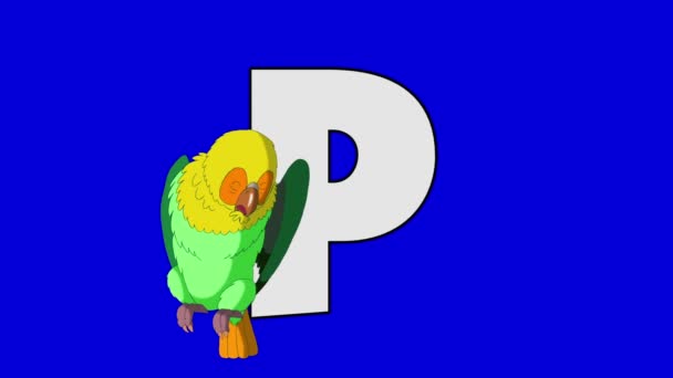 Буква P и попугай (передний план) ) — стоковое видео