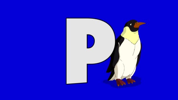 Litery P i Pingwin (tło) — Wideo stockowe