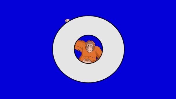 Letra O y Orangután (fondo ) — Vídeo de stock