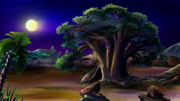 Grande baobab africano. Vista notturna . — Foto Stock