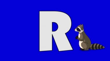 R Harfi ve rakun (ön plan)
