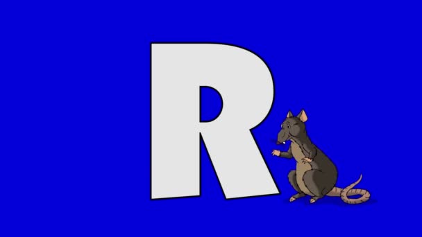 Letter R en Rat (voorgrond) — Stockvideo