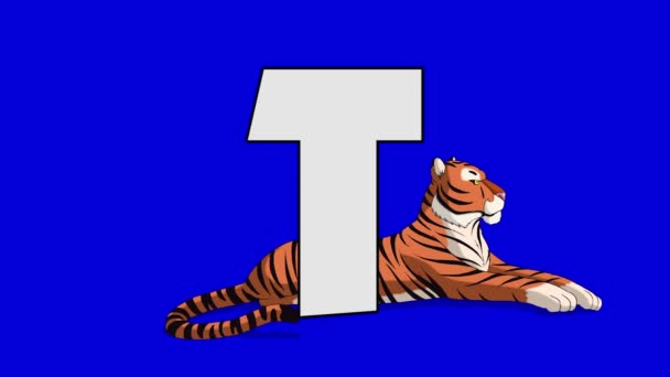 Буква T и тигр (фон ) — стоковое видео