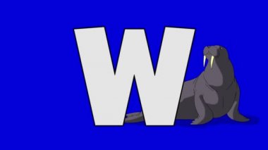 Harf W ve Mors (arka plan)