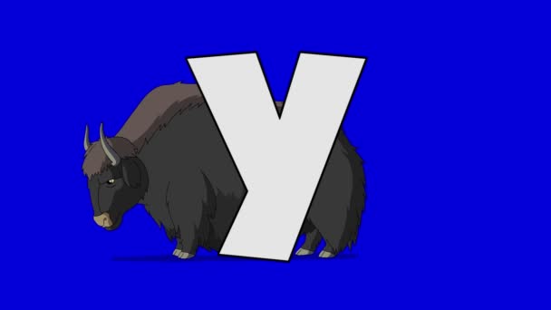 Буква Y и Як (задний план) ) — стоковое видео