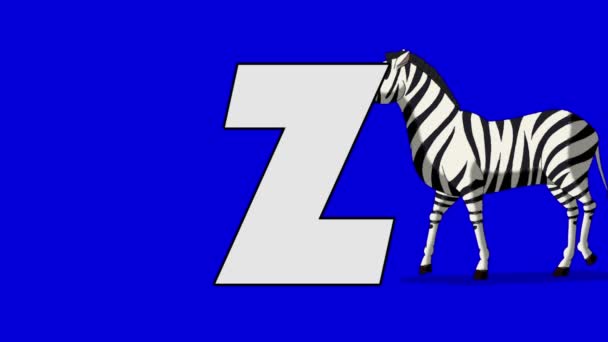 Bokstaven Z och Zebra (bakgrund) — Stockvideo