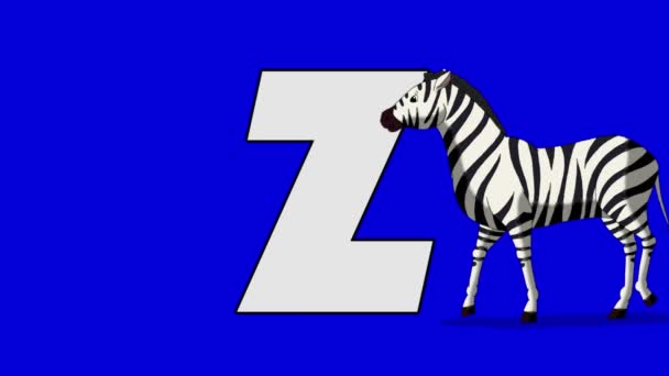 Letter Z en Zebra (voorgrond) — Stockvideo