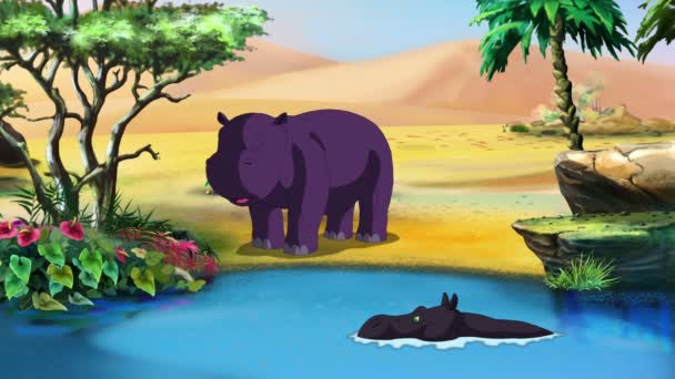 Pequeno hipopótamo africano — Vídeo de Stock