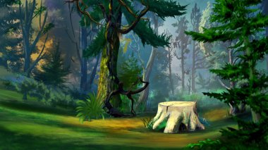 çam ormanı içinde eski ağaç kütüğü