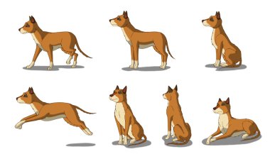 Kahverengi köpek beyaz arkaplanda izole.