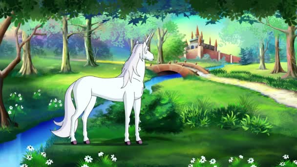 Cuento de hadas Unicornio en un bosque mágico — Vídeos de Stock