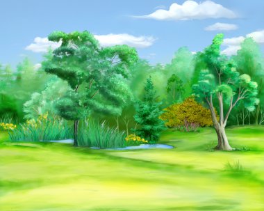 Alan bir yaz günü orman kenarında