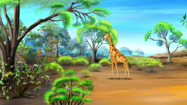 非洲长颈鹿在炎热的夏天 — 图库视频影像