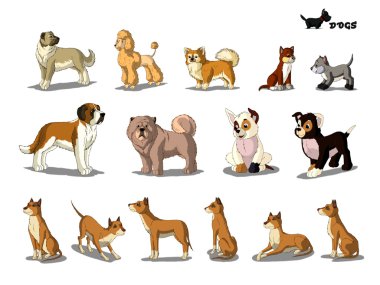 Beyaz arka planda izole edilmiş bir grup köpek