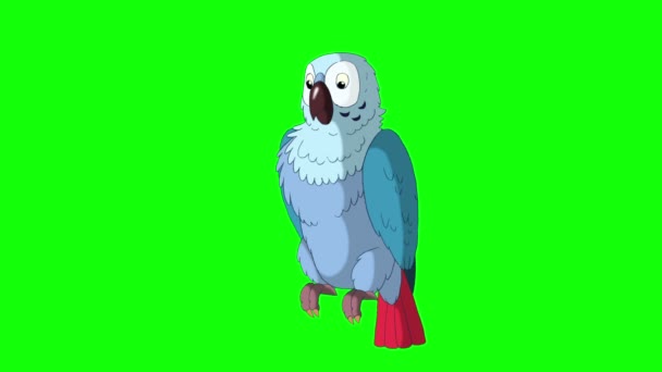 Blauer Papagei grüßt — Stockvideo