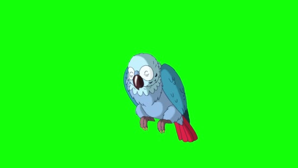 Синий попугай просыпается . — стоковое видео