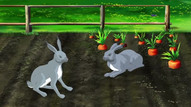 Hares on Carrot Garden — Stock Video