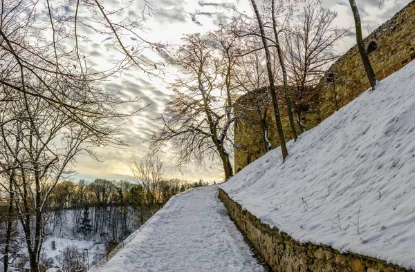 Terebowlia Ukraine 2020 Die Ruinen Der Alten Burg Terebovlia Region — Stockfoto