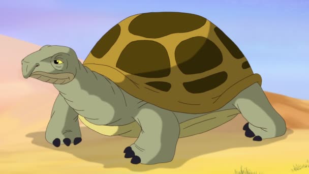 Hnědá Želva Písečné Poušti Ruční Animace — Stock video