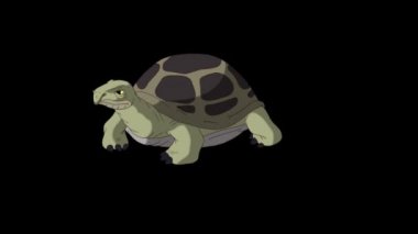 Büyük yeşil kaplumbağa kendini kuma gömer. Alfa kanalı ile izole edilmiş el yapımı animasyon görüntüleri. 
