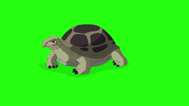Velká Zelená Želva Zahrabe Písku Ručně Vytvořené Animované Záběry Izolované — Stock video