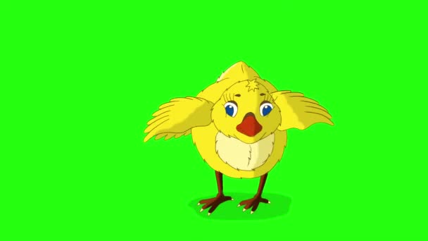 Little Yellow Chicken Stands Pecks Handmade Animated Footage Isolated Green — Stock Video