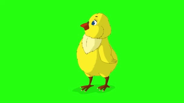 小さな黄色い鶏が周りを見回す 緑の画面に隔離された手作りのアニメーション4K映像 — ストック動画