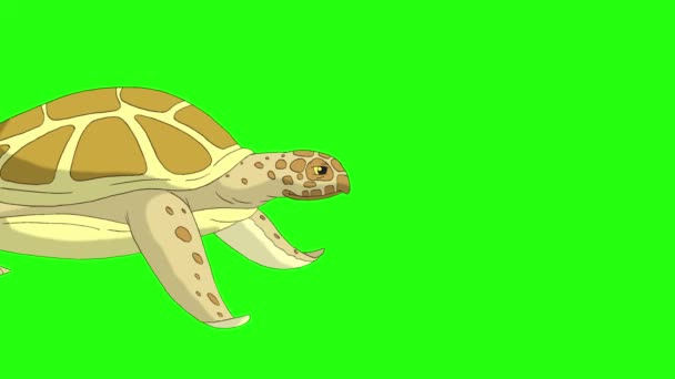 Gele Schildpad Zwemt Onder Water Handgemaakte Geanimeerde Lussen Beelden Geïsoleerd — Stockvideo