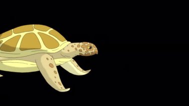 Sarı kaplumbağa suyun altında yüzer. Yeşil ekranda izole edilmiş el yapımı 4K görüntüler