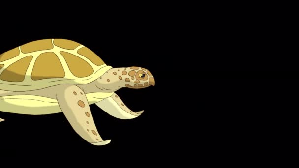 Gelbe Schildkröte Schwimmt Unter Wasser Handgemachtes Animiertes Looping Material Isoliert — Stockvideo