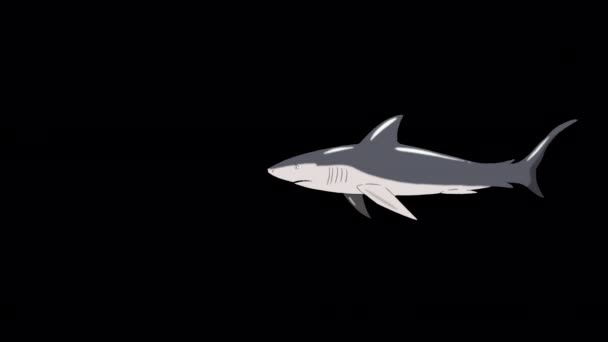 Gray Shark Swim Handmade Animated Footage Isolated Alpha Channel — Stock Video