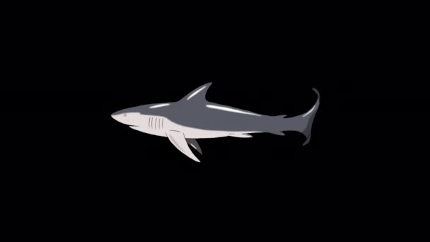 Gray Shark Swim Handmade Animated Looped Footage Isolated Alpha Channel — Stock Video